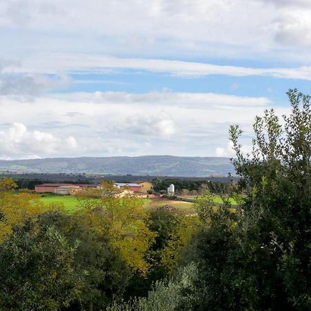 Agriturismo Nuragh'Elighe Sindia Buitenkant foto