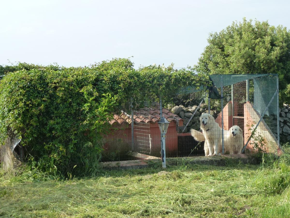 Agriturismo Nuragh'Elighe Sindia Buitenkant foto