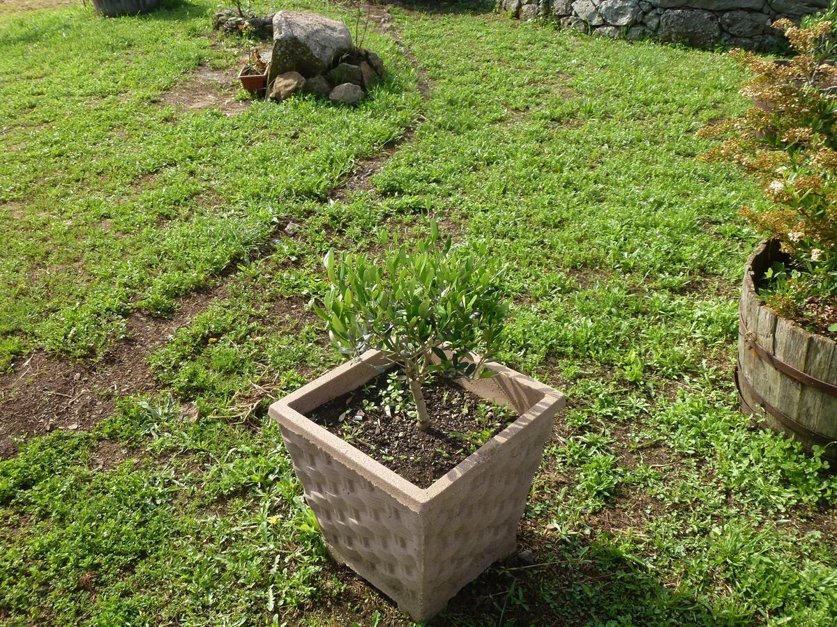 Agriturismo Nuragh'Elighe Sindia Buitenkant foto